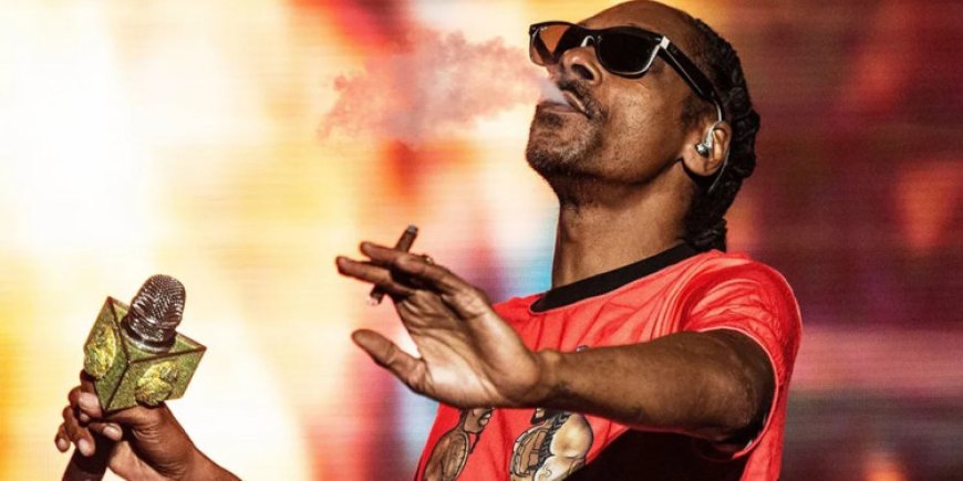 Snoop Dogg: Prova que não fuma 150 cigarros por dia, mas apenas 11