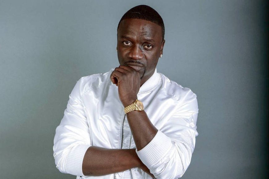 Akon: "Se os afro-americanos investirem em África, o retorno pode ser três ou quatro vezes maior em apenas um ano"